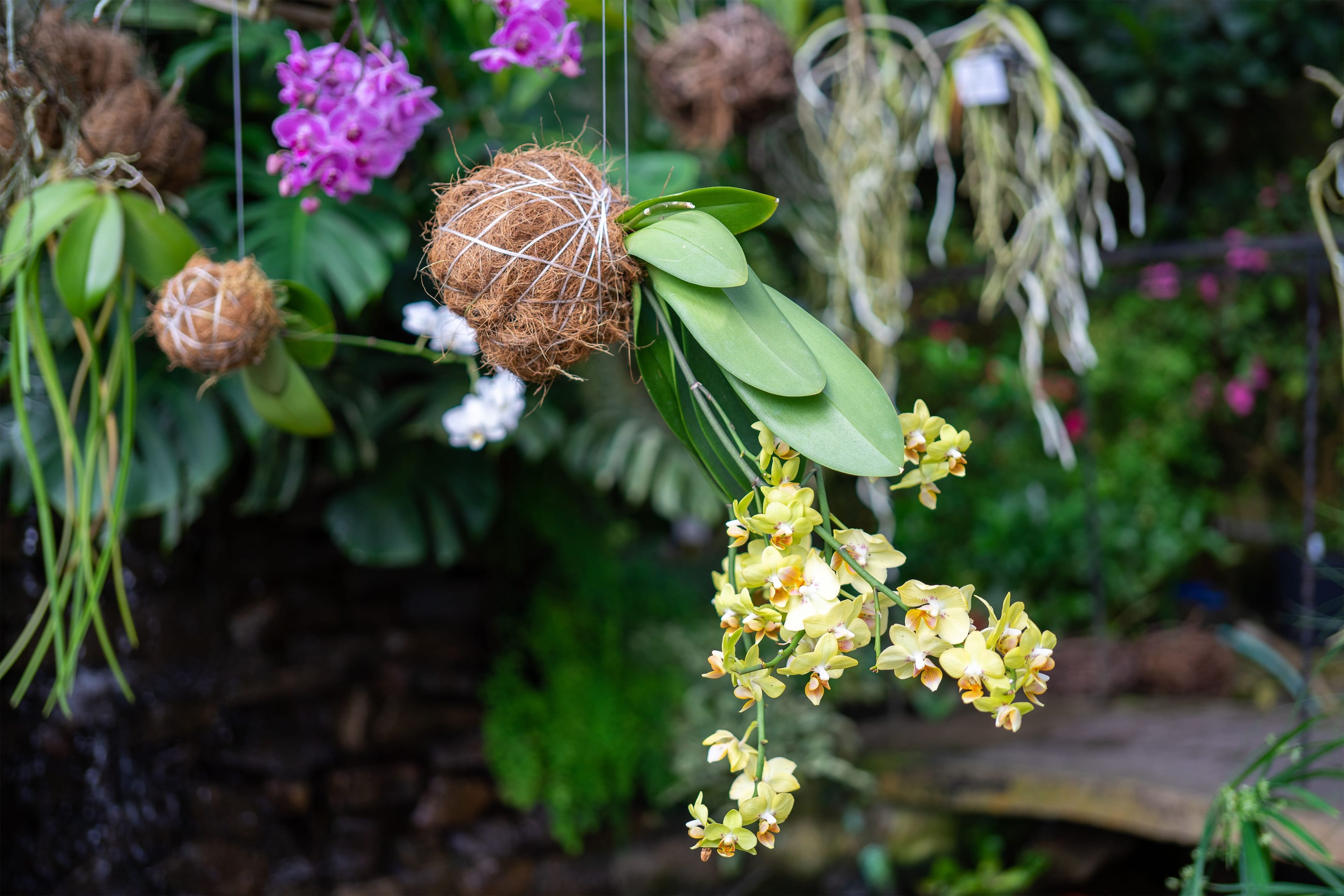 AdobeStock_470170679