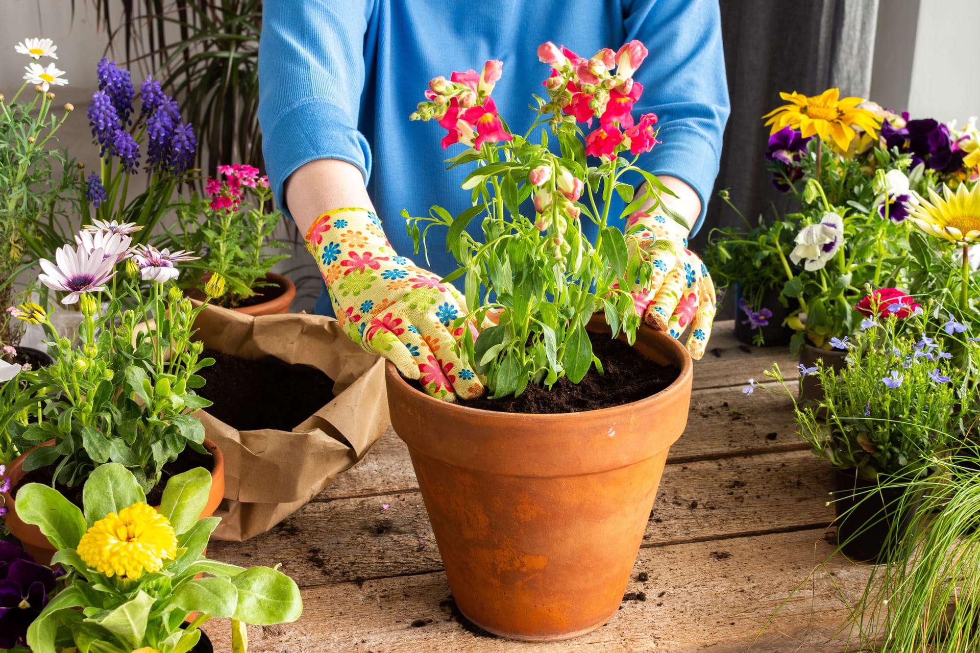 flower bulb planting.jpeg