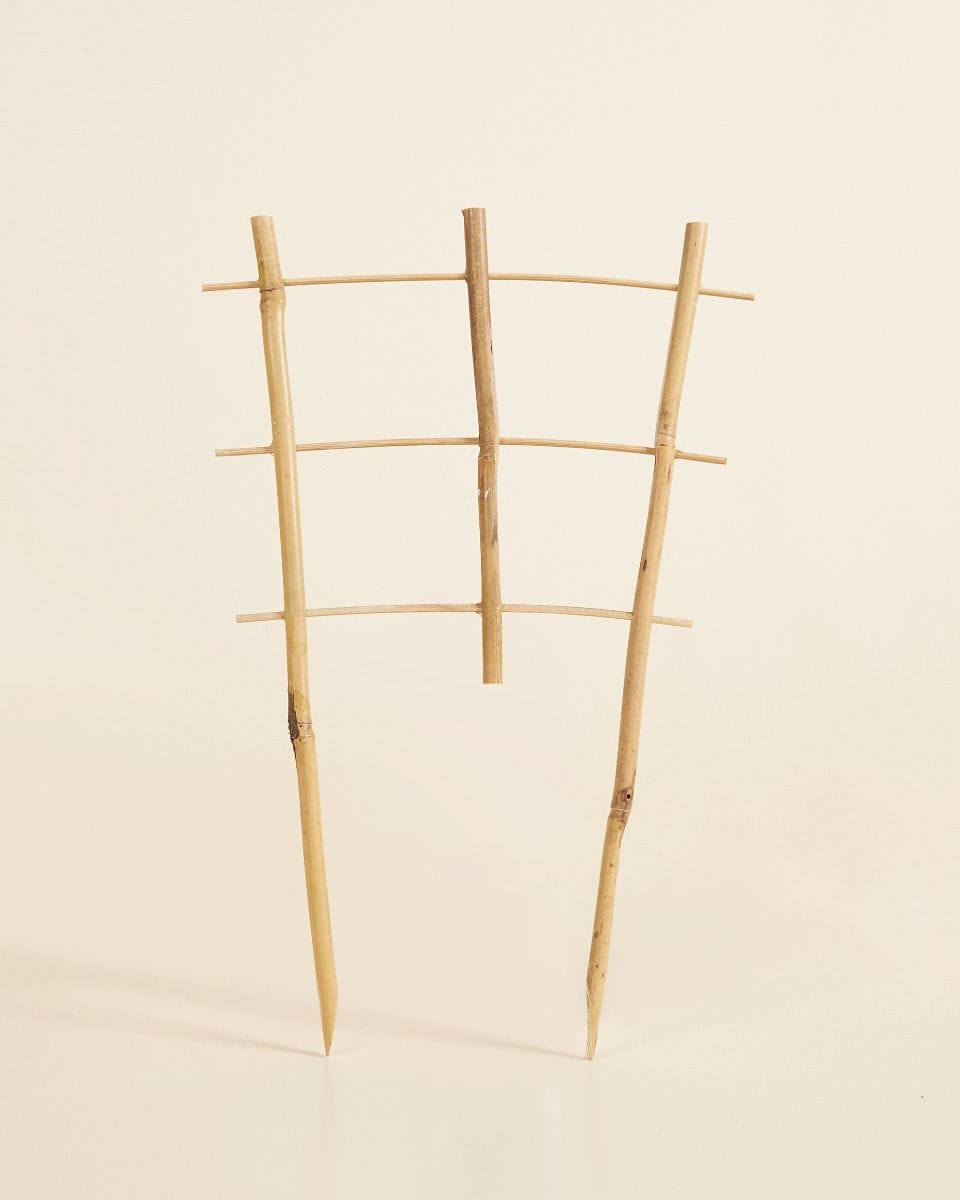 Lily Wooden Rack 30 cm