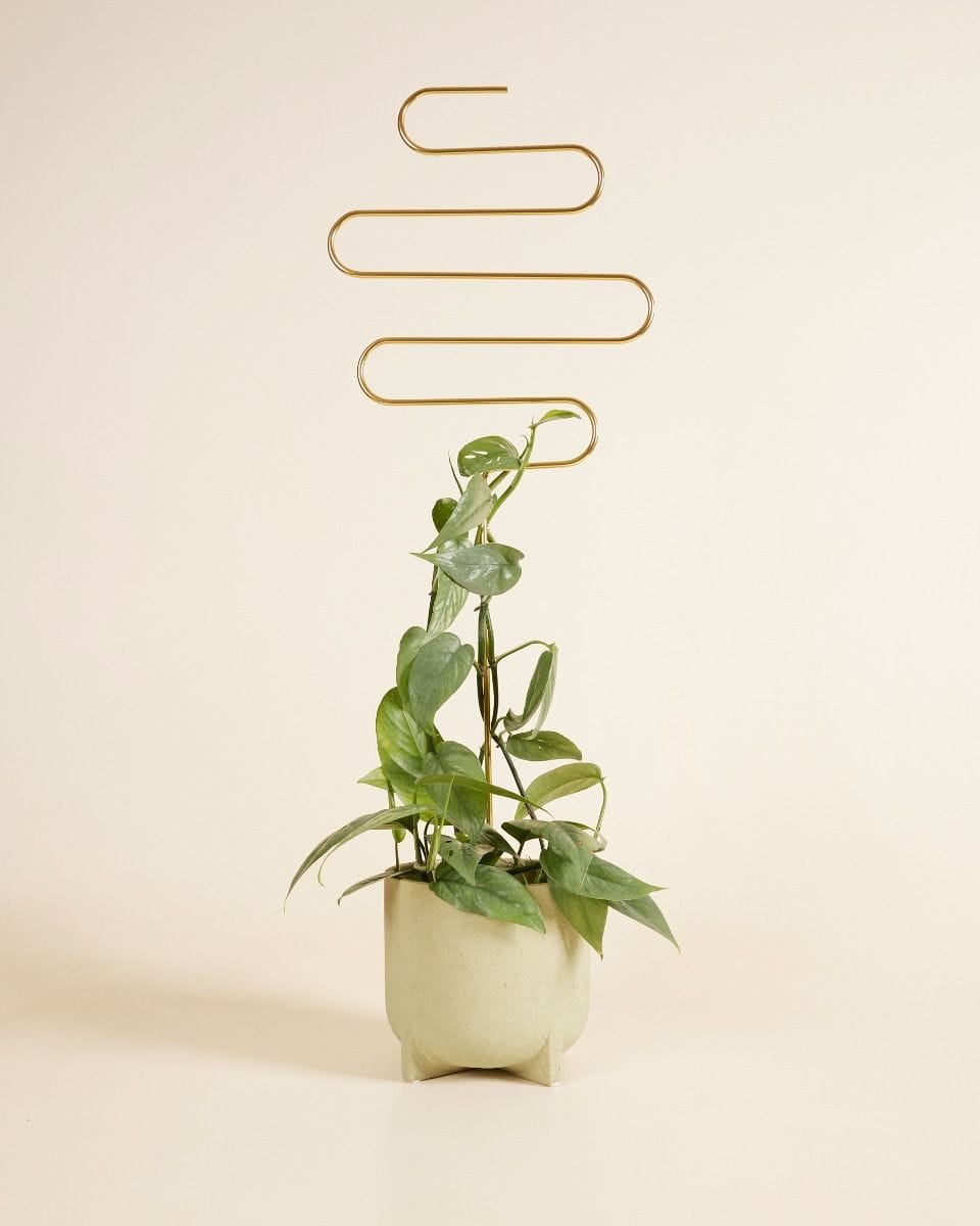 Squiggle Plantstake Brass