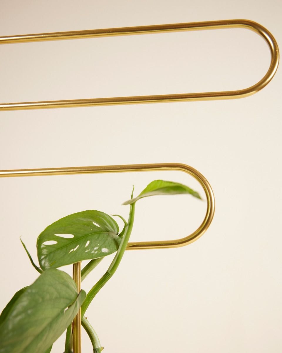 Squiggle Plantstake Brass
