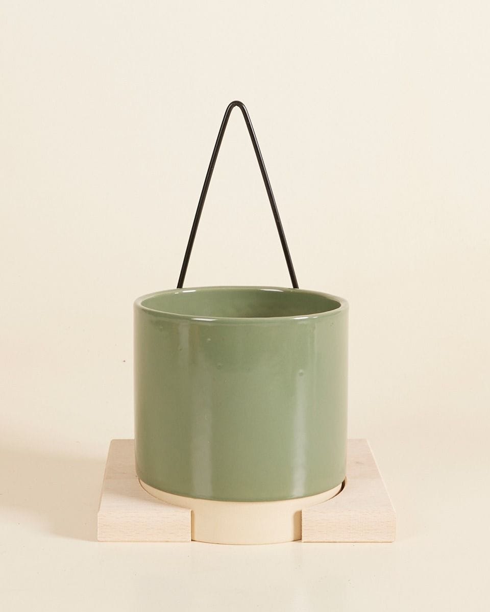 Lisa Pot Hanger  Medium
