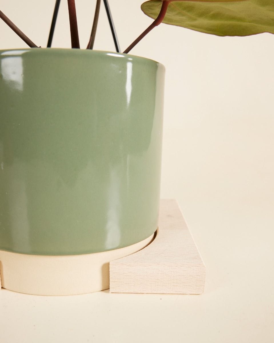 Lisa Pot Hanger  Medium