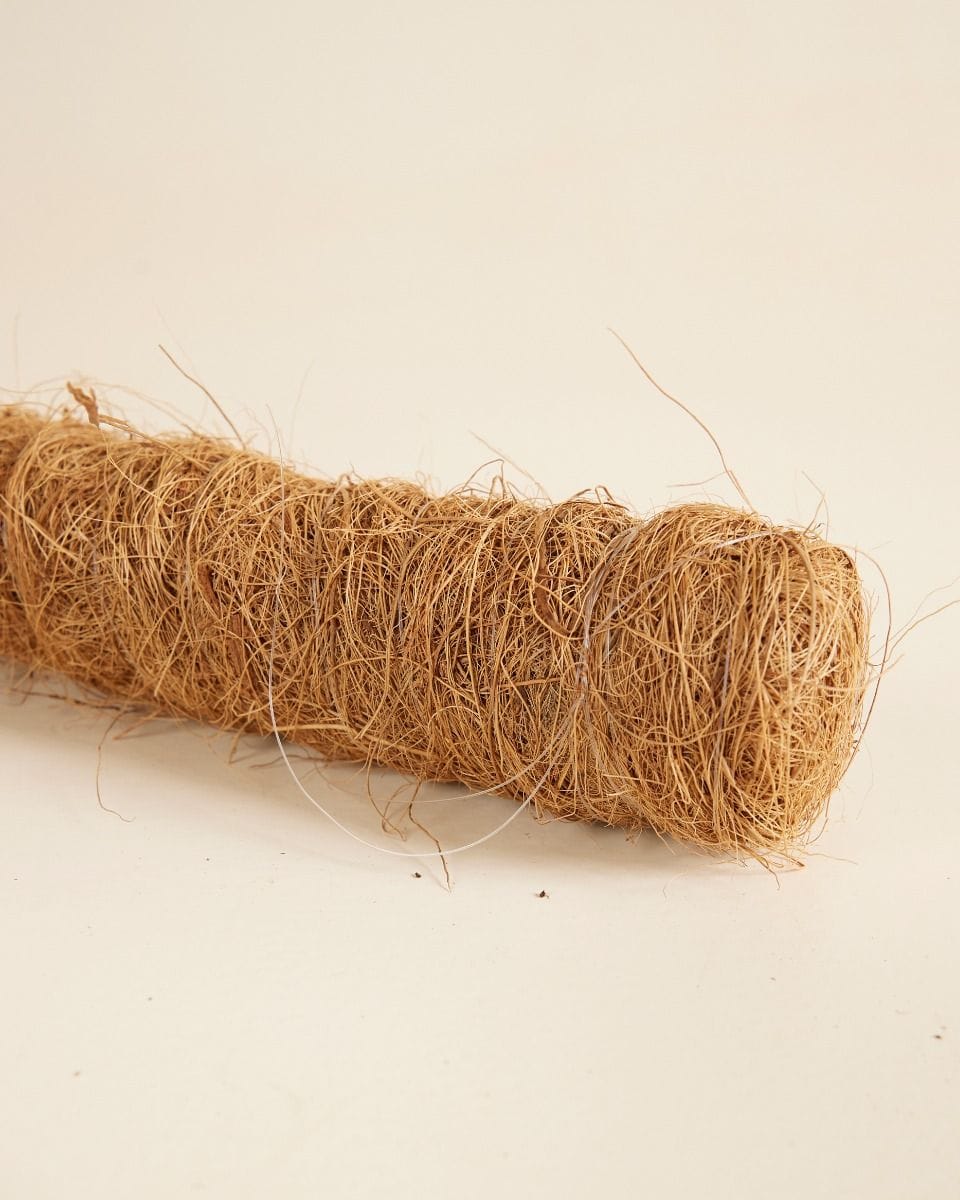 Peter Moss Pole 55cm