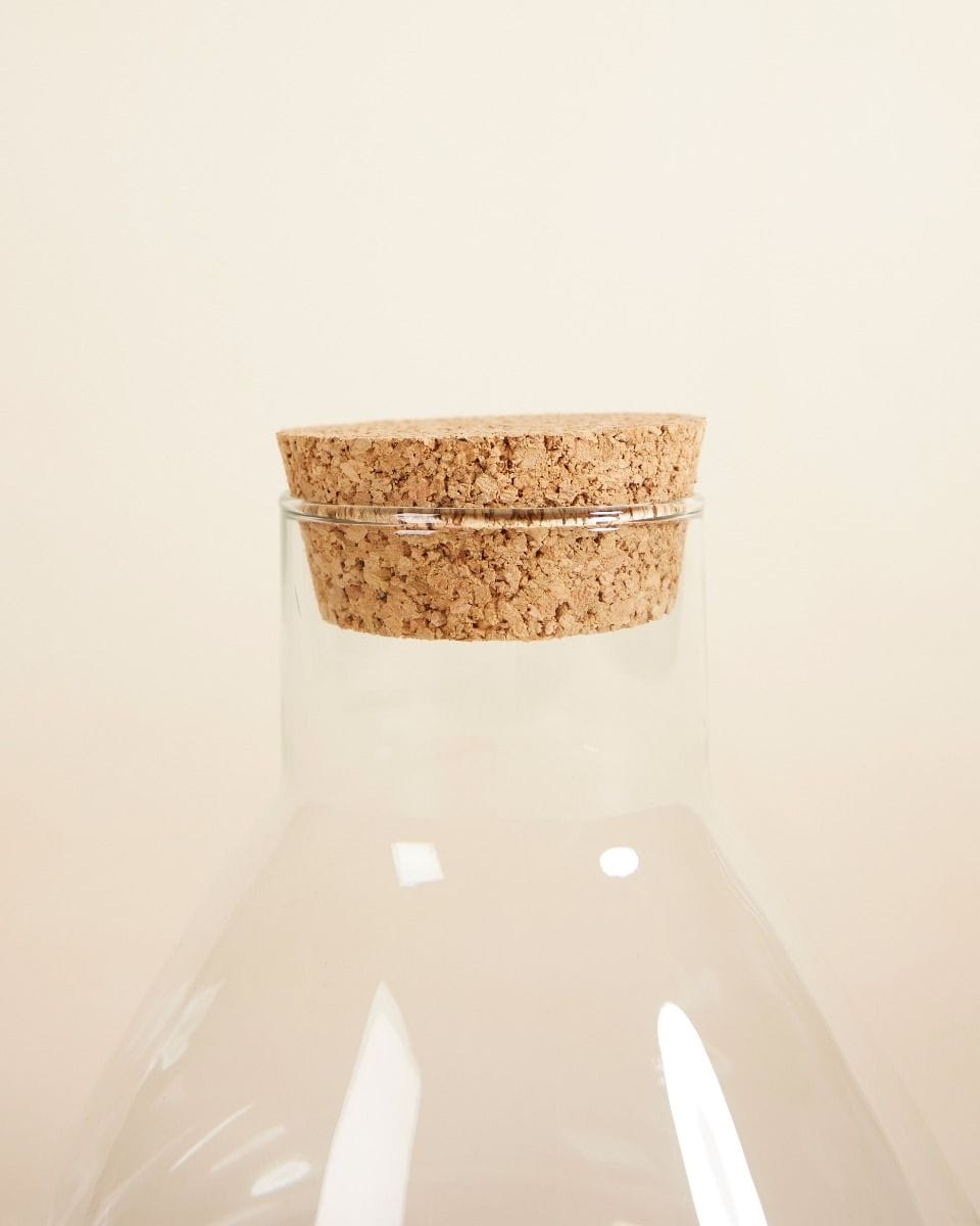 Emily Terrarium Small Ø 17 cm