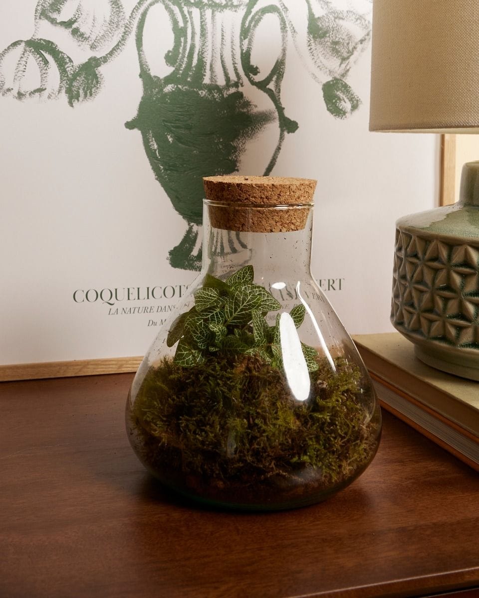 Emily Terrarium Small Ø 17 cm