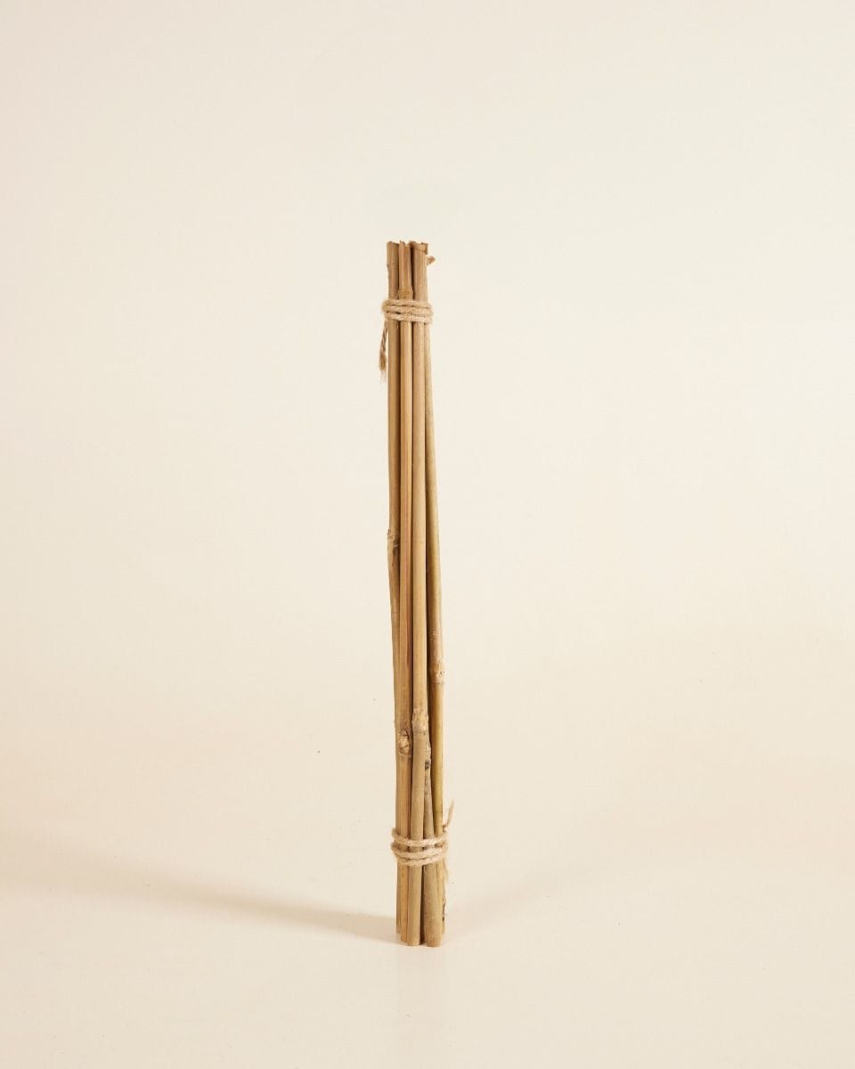 Bamboo Stick 40 cm 10 pieces