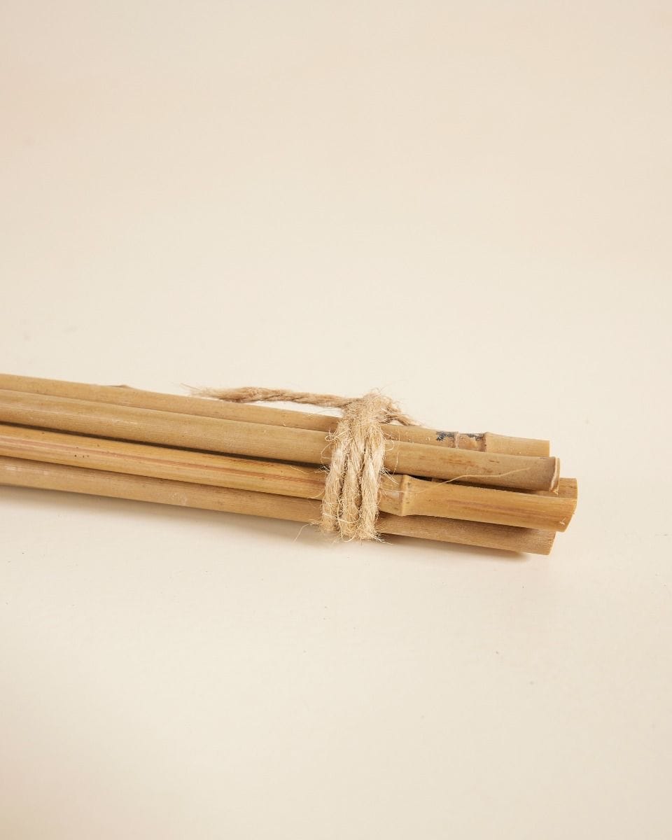 Bamboo Stick 40 cm 10 pieces