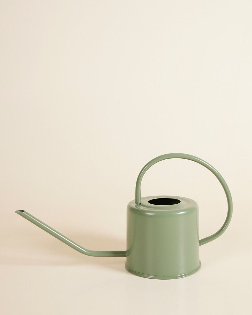 Ancho Watering Can Green Green