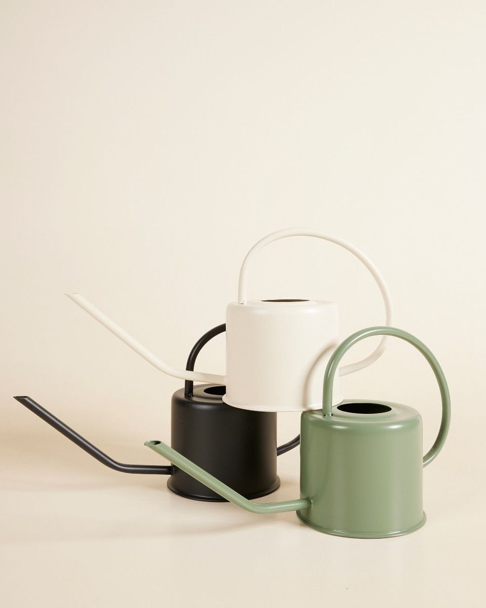 Ancho Watering Can Green Green