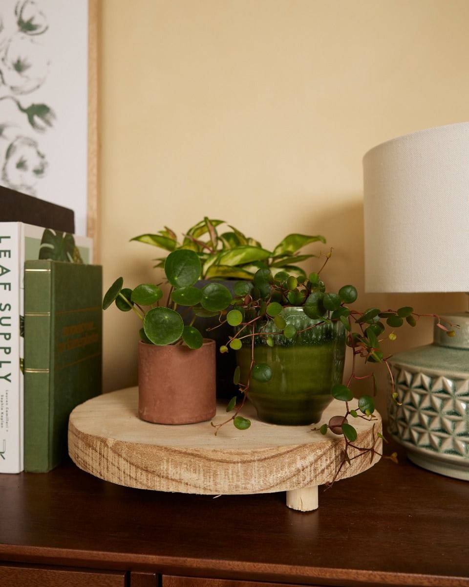 Tom Table Wood Natural