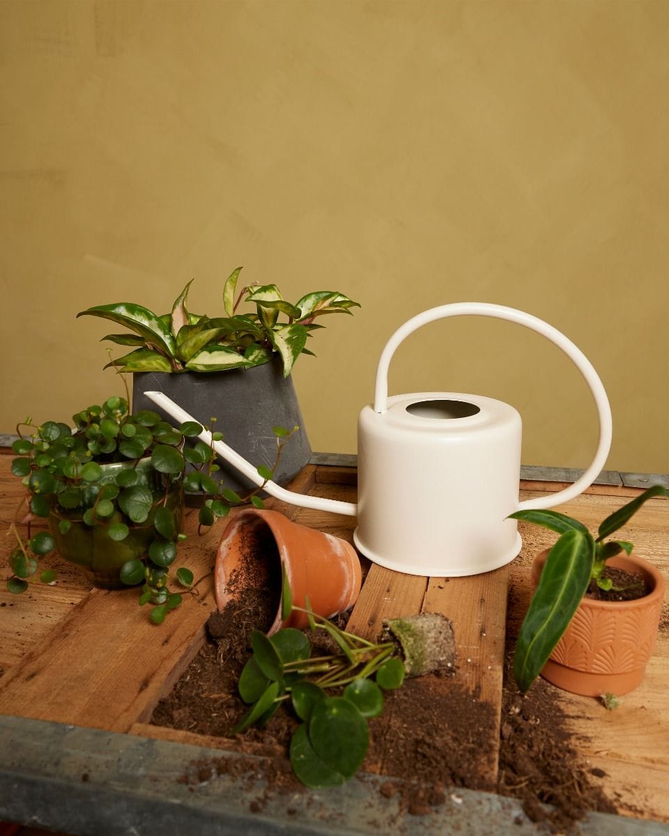 Ancho Watering Can Off White 1.2 liter