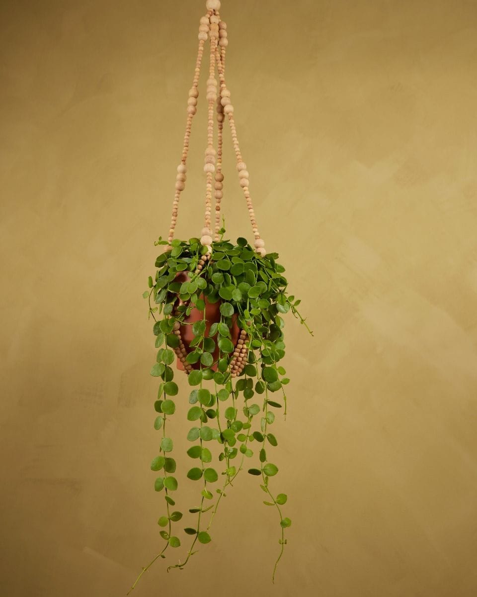 Terry Hanger Natural 80 cm