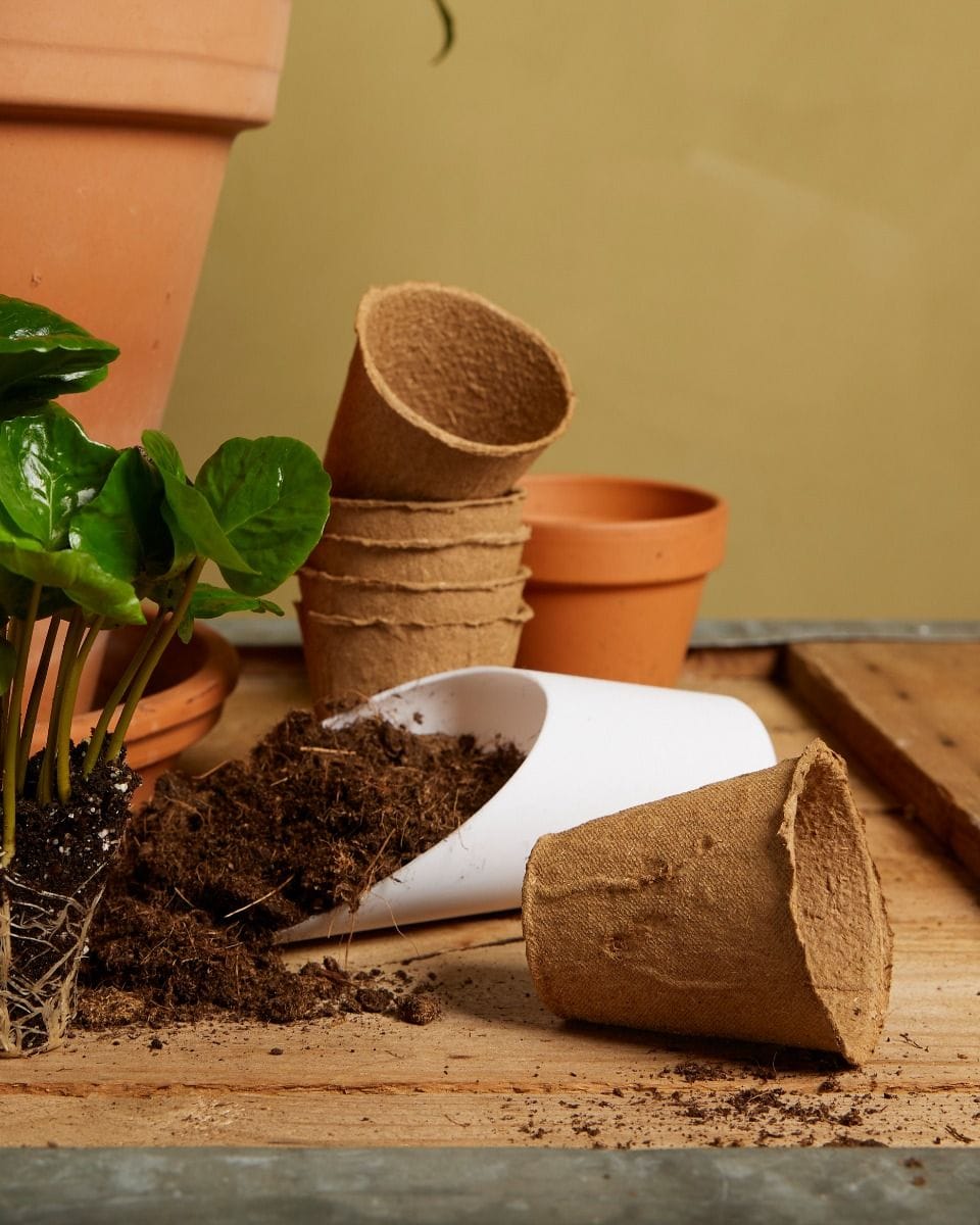 Biodegradable Seedling Pots 24 pieces