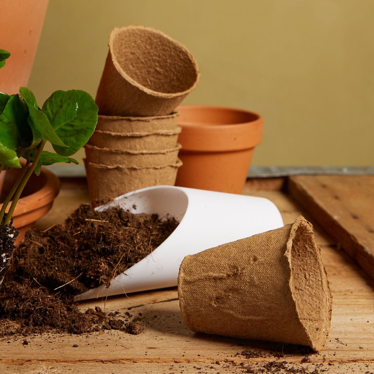Biodegradable Seedling Pots 24 pieces