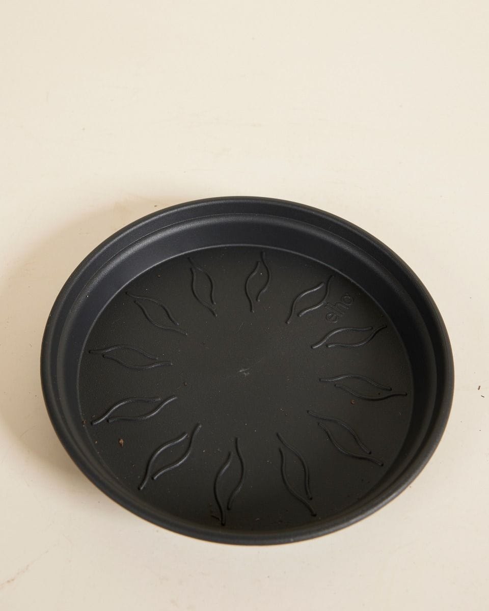 Elho Hagrid Plant Saucer  Ø 14 cm