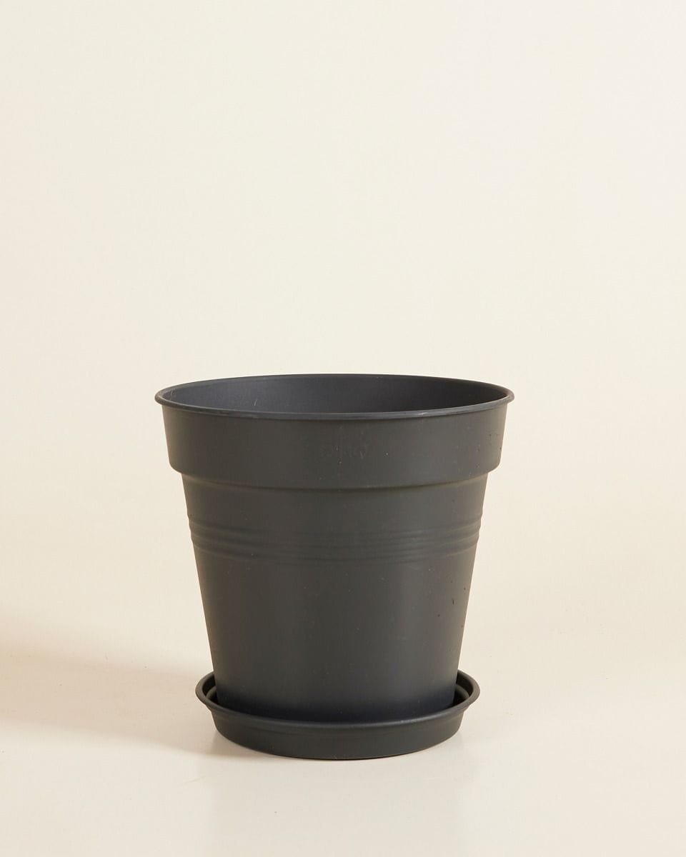 Elho Hagrid Plant Saucer  Ø 14 cm
