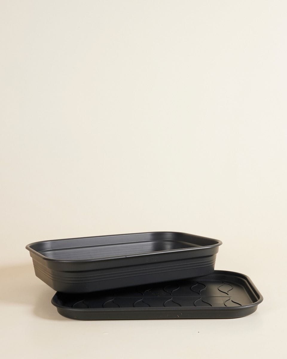 Elho Hagrid Grow Saucer 35.7 cm