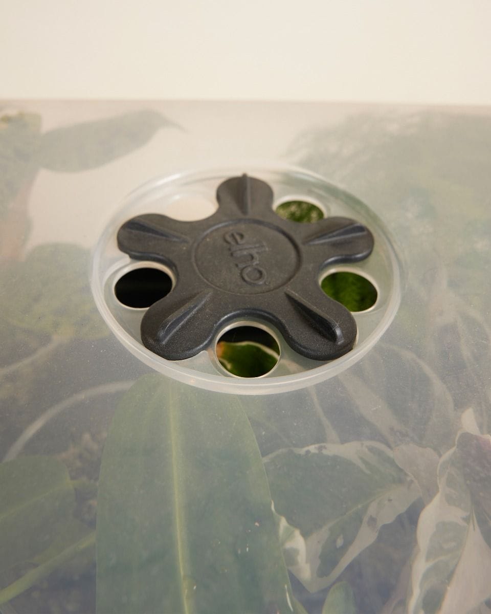 Elho Hagrid Grow House XL