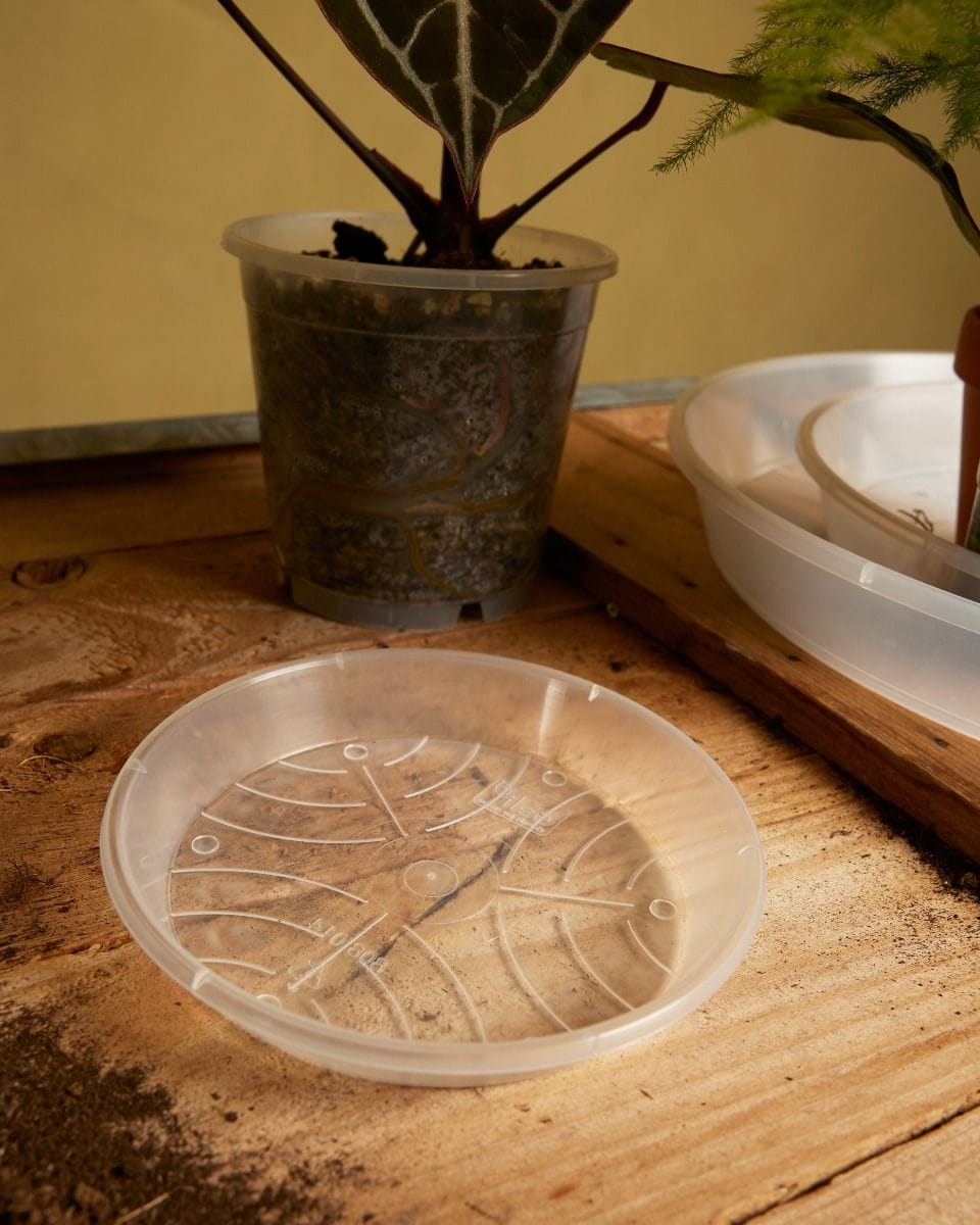 Plant Saucer Transparent Ø 14 cm