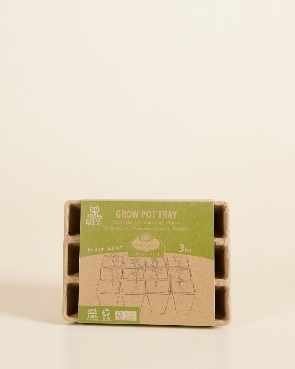 Seedling Pots On Tray Biodegradable