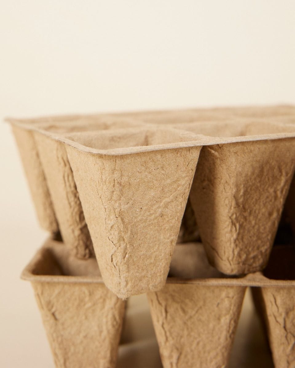 Seedling Pots On Tray Biodegradable