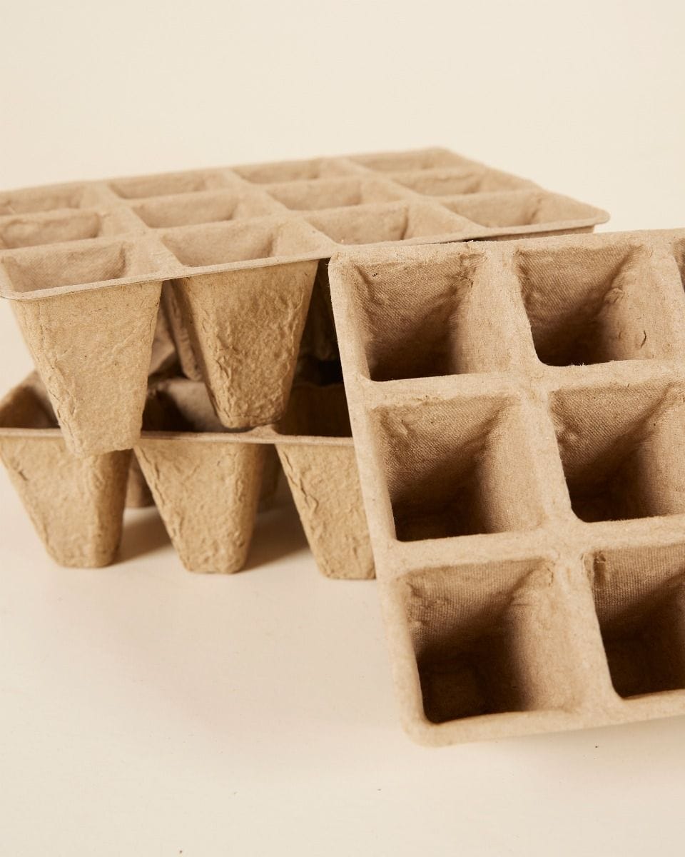 Seedling Pots On Tray Biodegradable