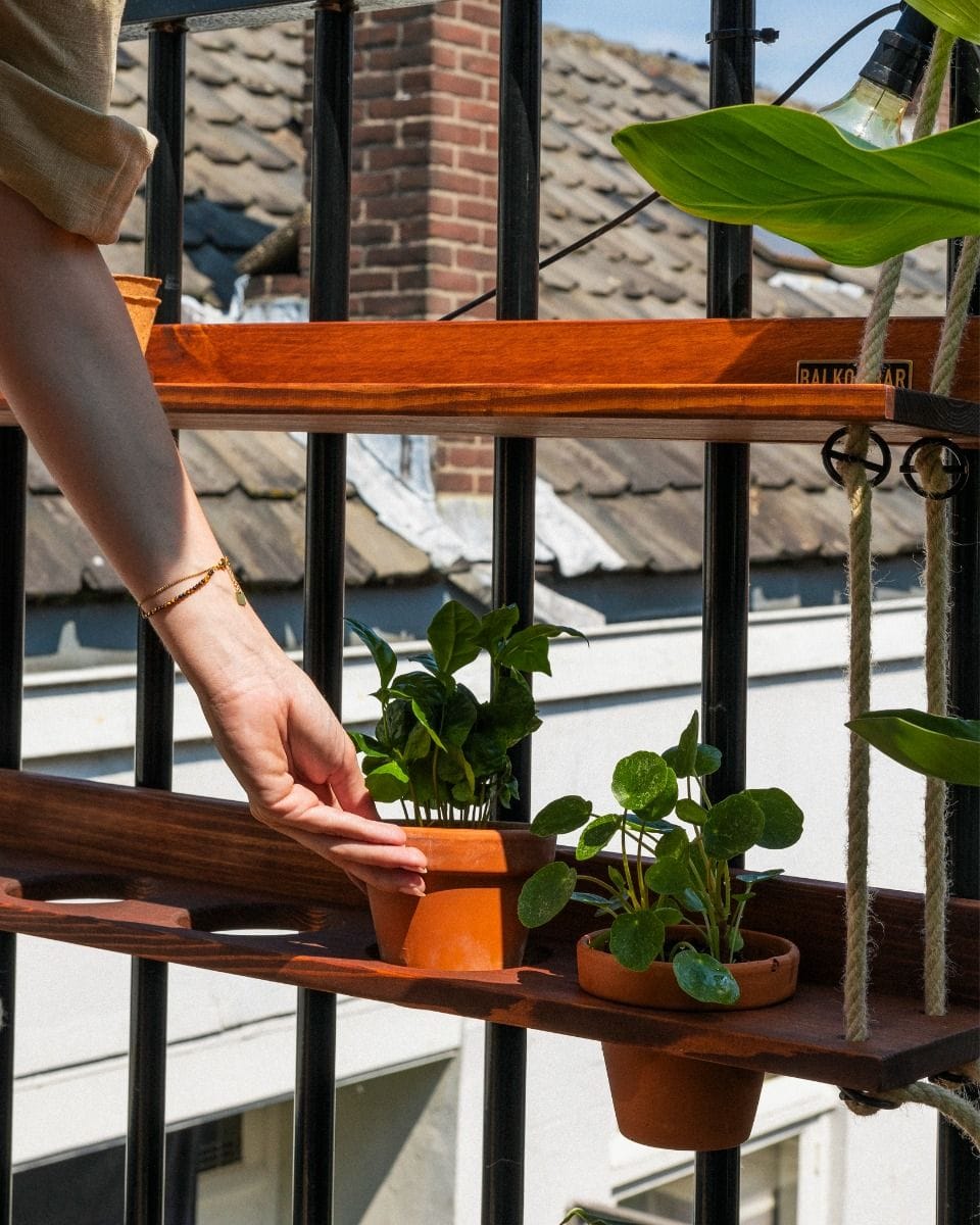 Hanging Garden Classic Pine Mounting System