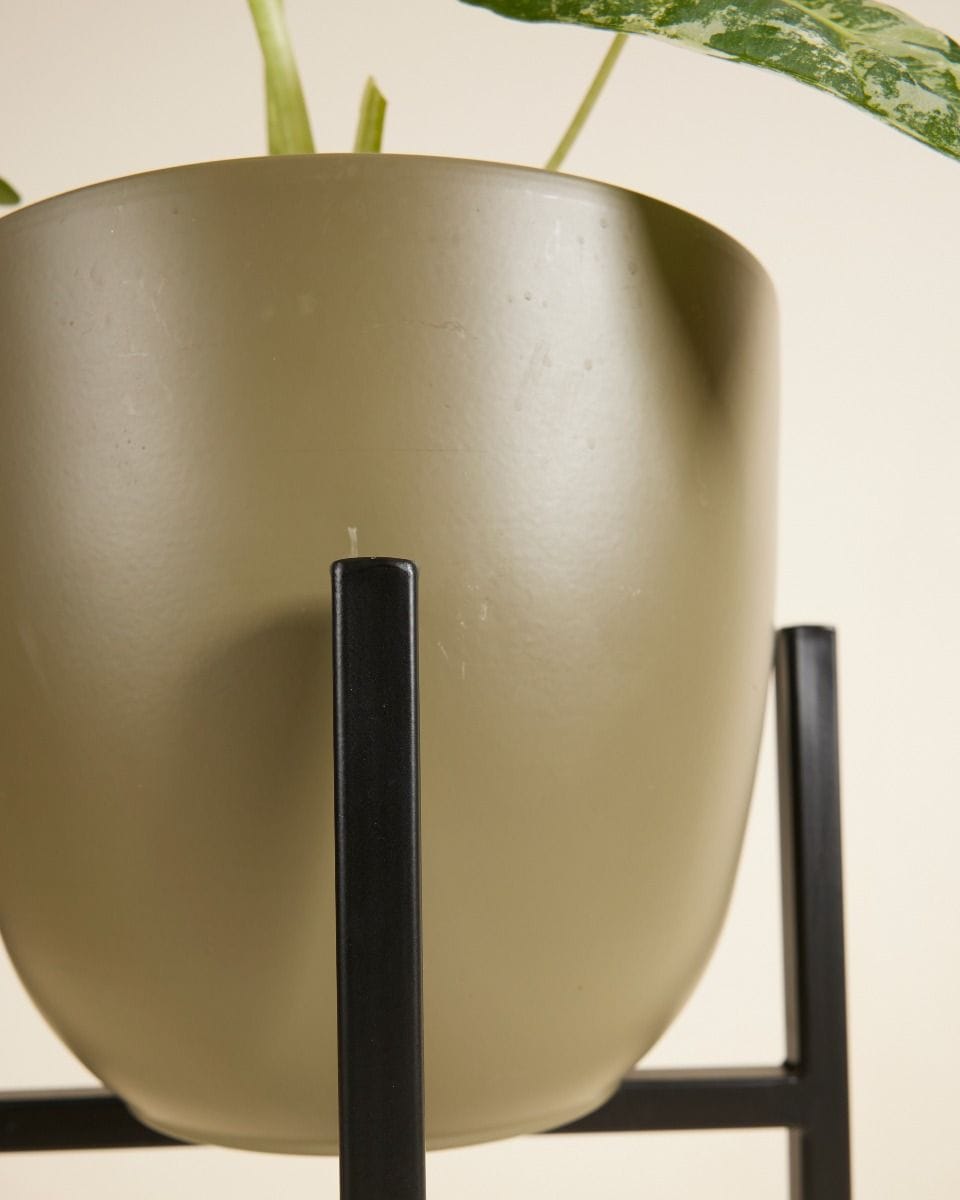 Pia Pot Holder  Black