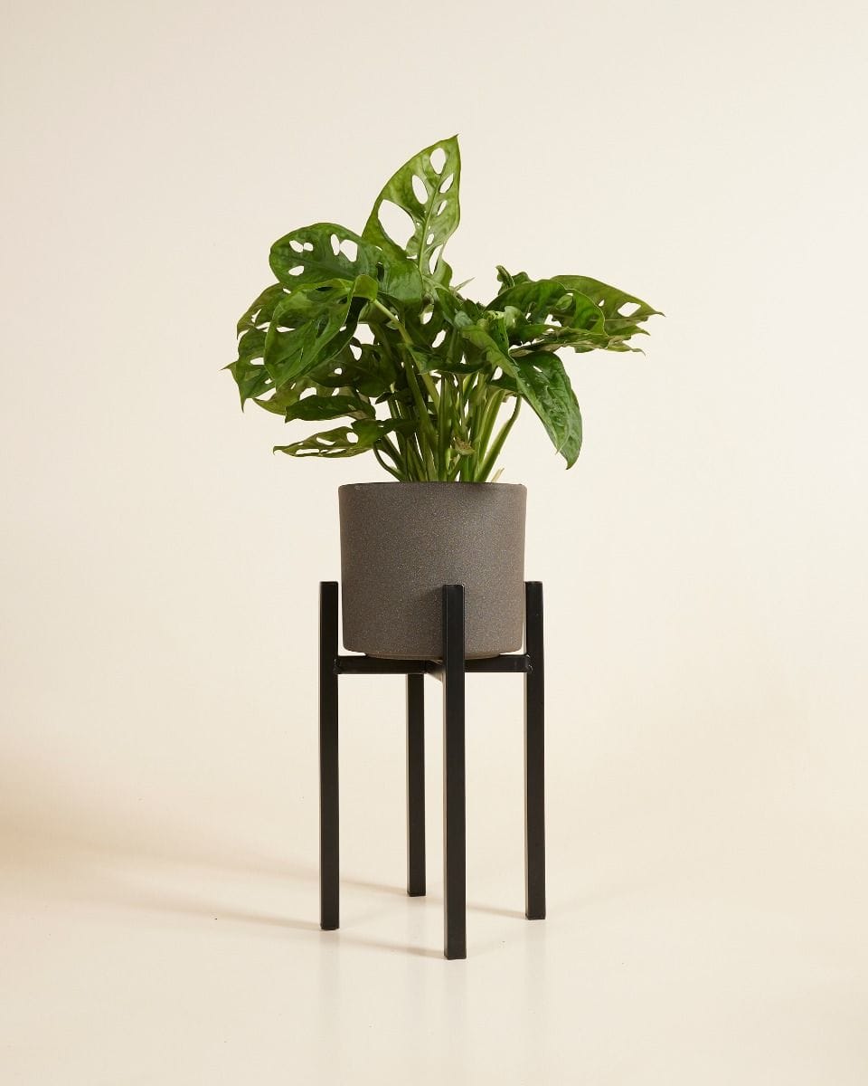 Paula Pot Stand  Black 25 cm