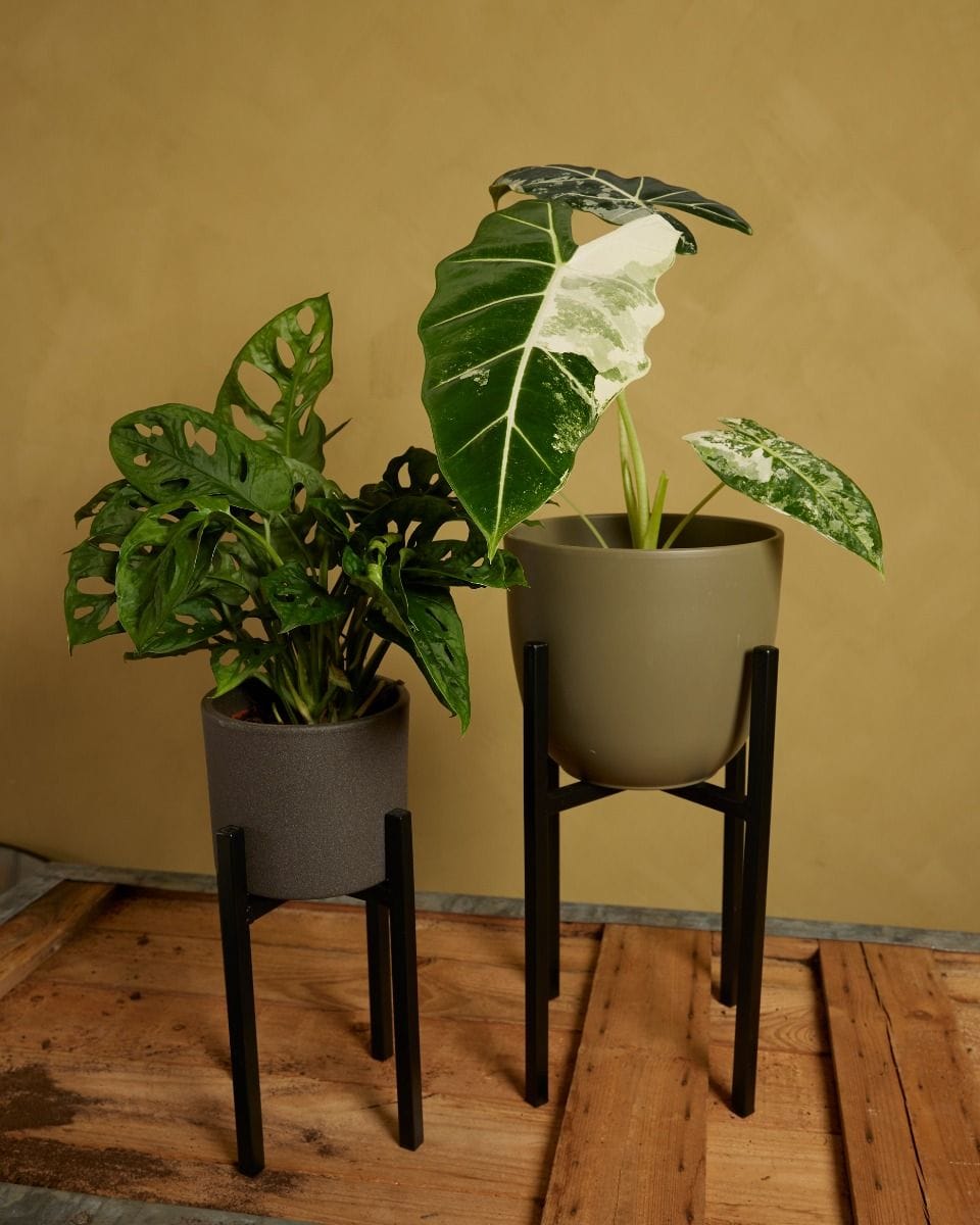 Paula Pot Stand  Black 25 cm