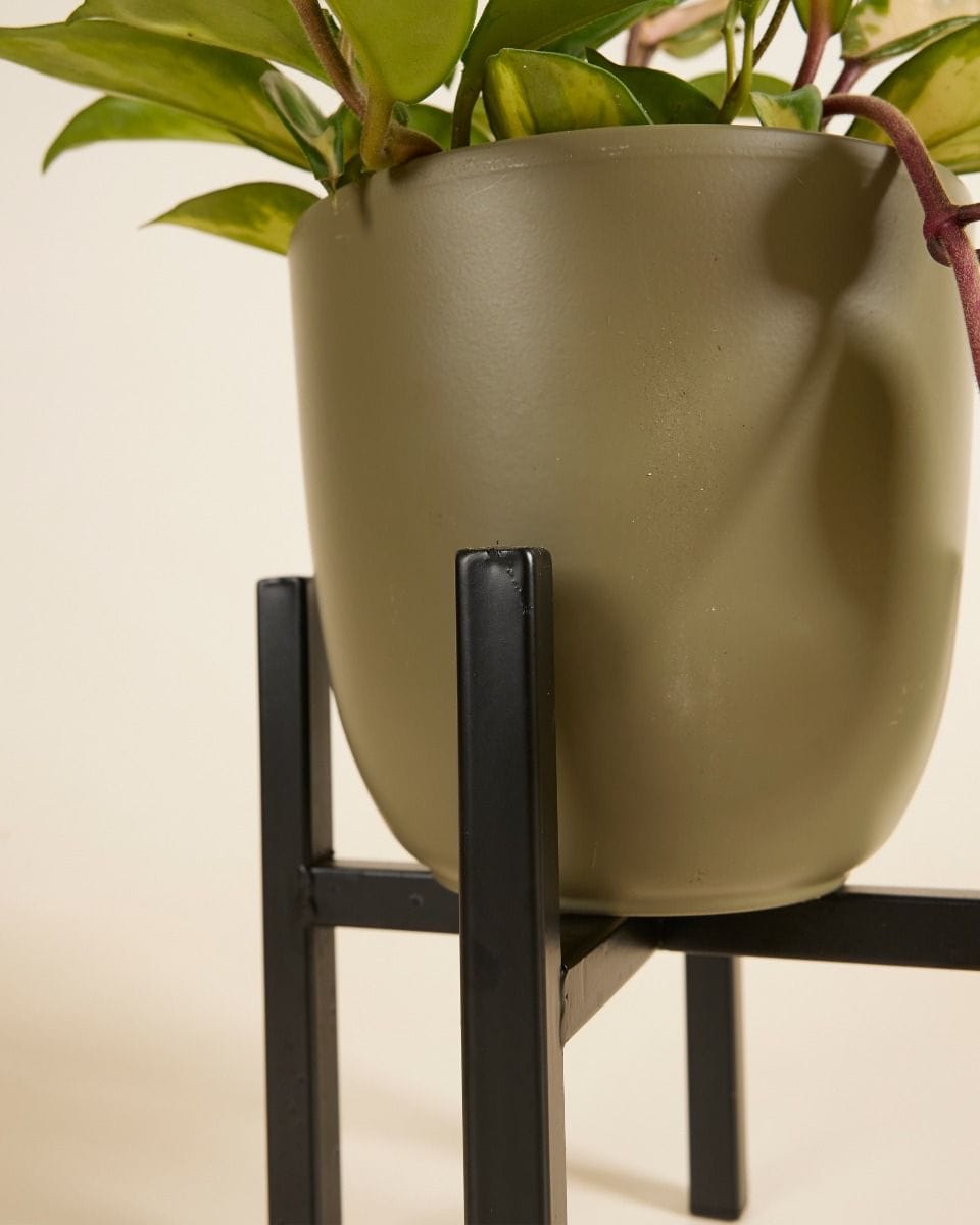 Paula Pot Stand  Black 16 cm