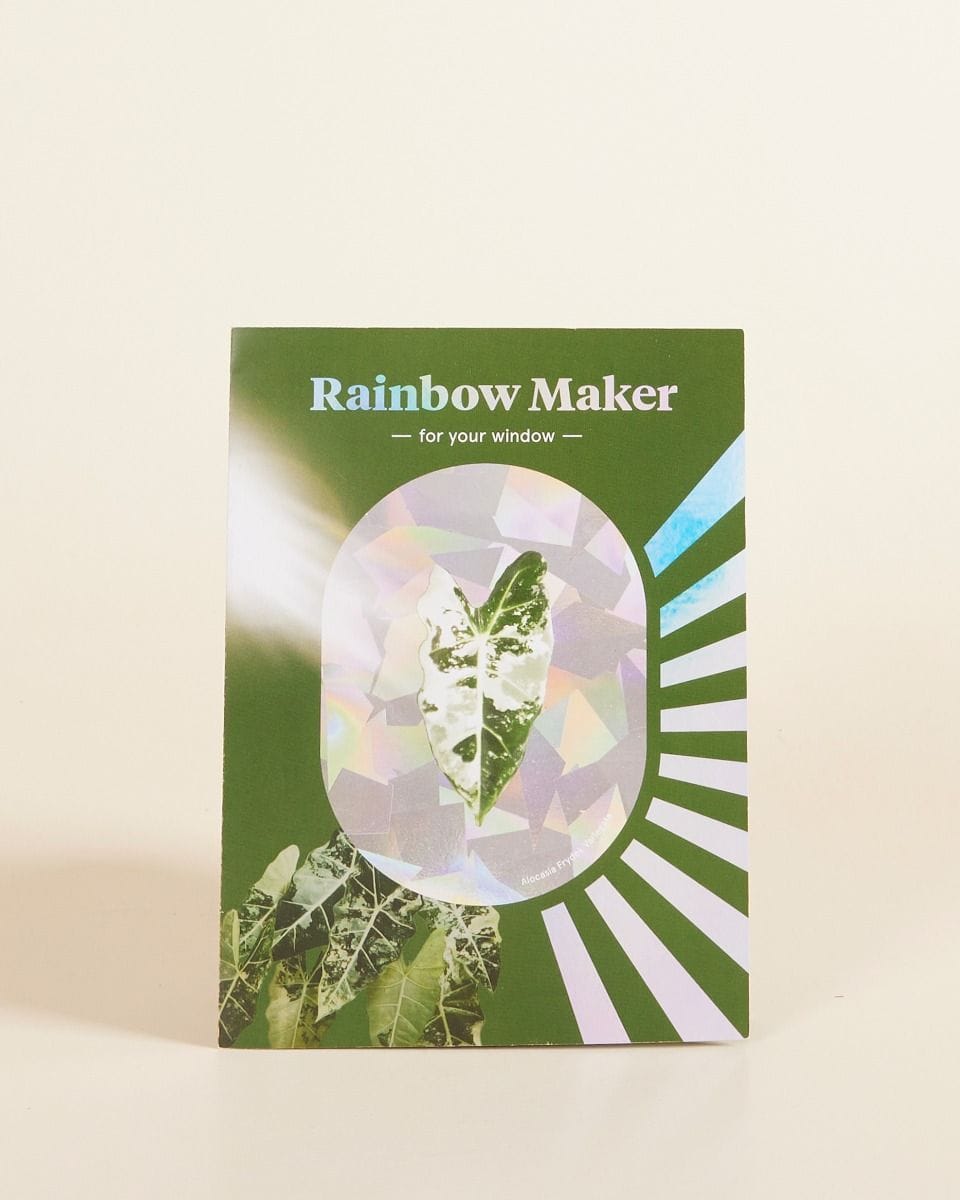 Rainbow Maker Botanopia x Living.Junglee