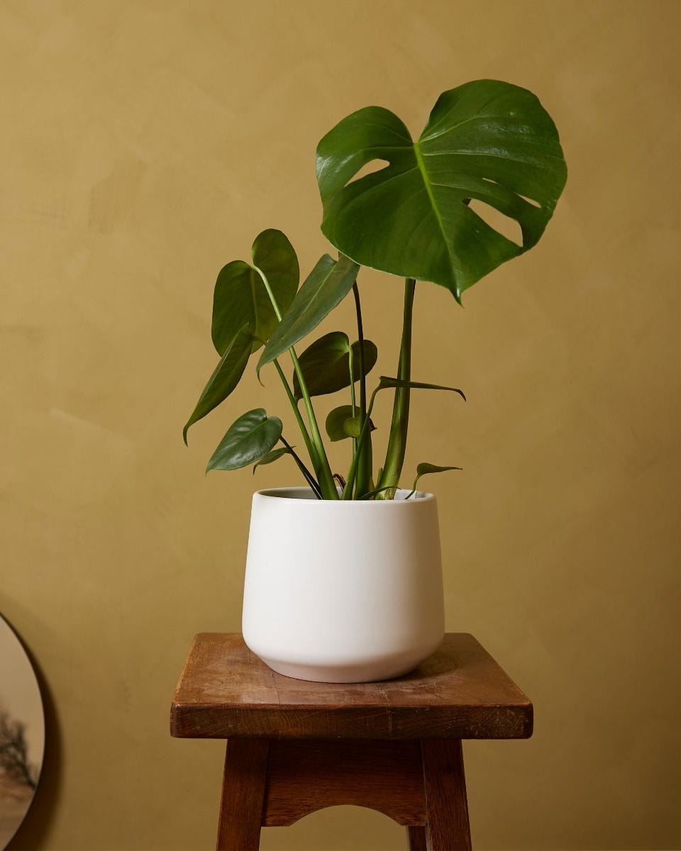 Amber Pot White Ø 17 cm