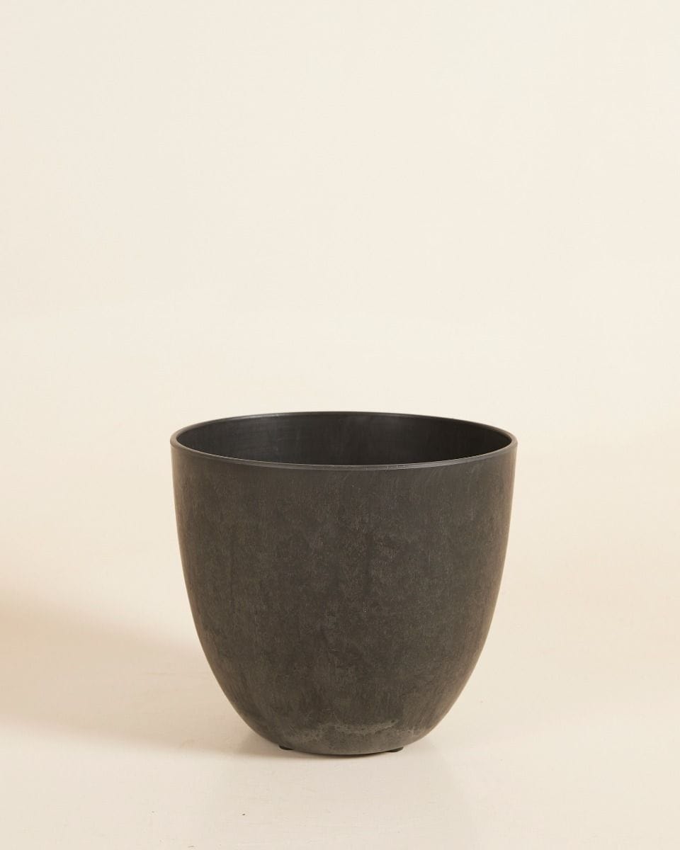 Bola Pot Black Ø 16