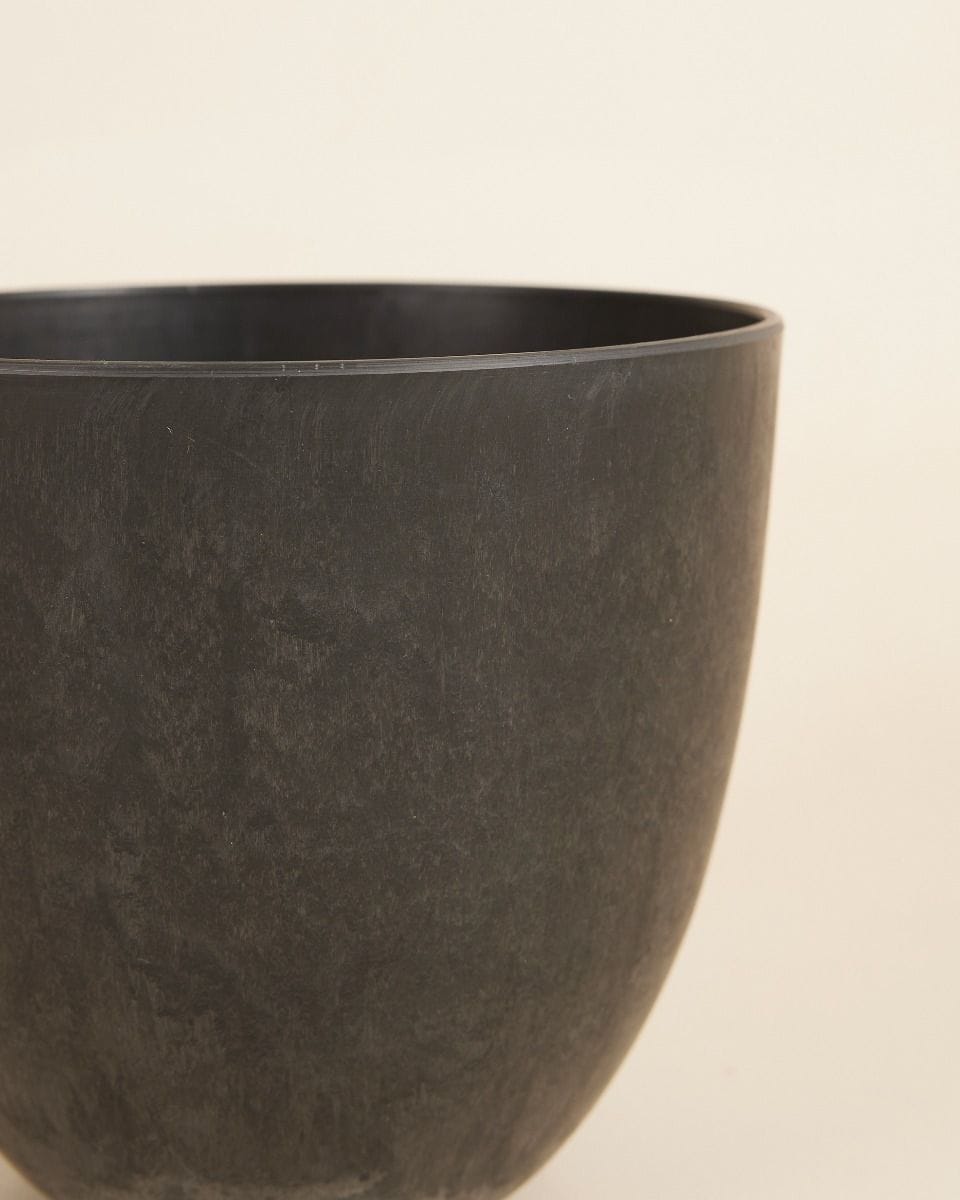 Bola Pot Black Ø 16