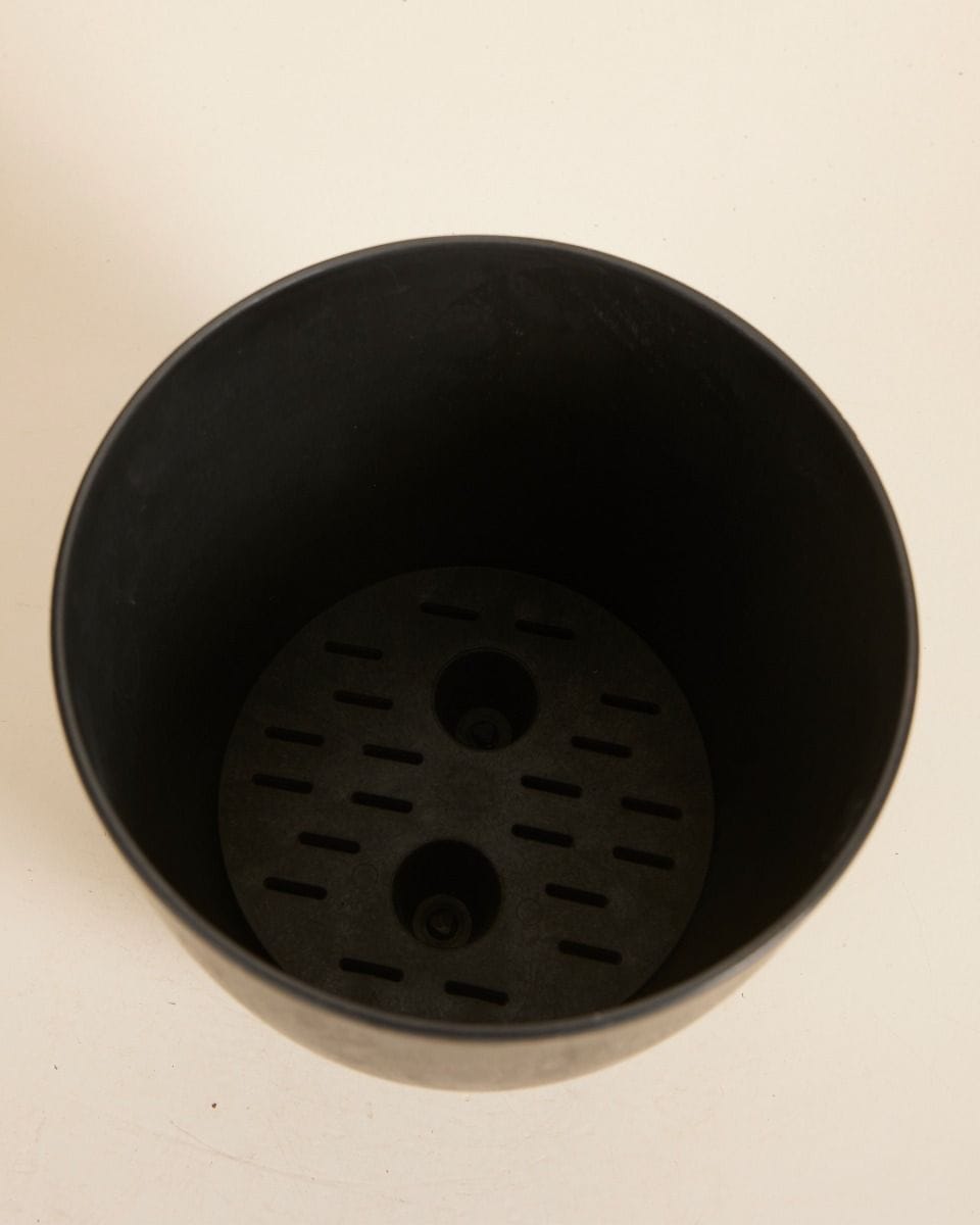 Bola Pot Black Ø 16