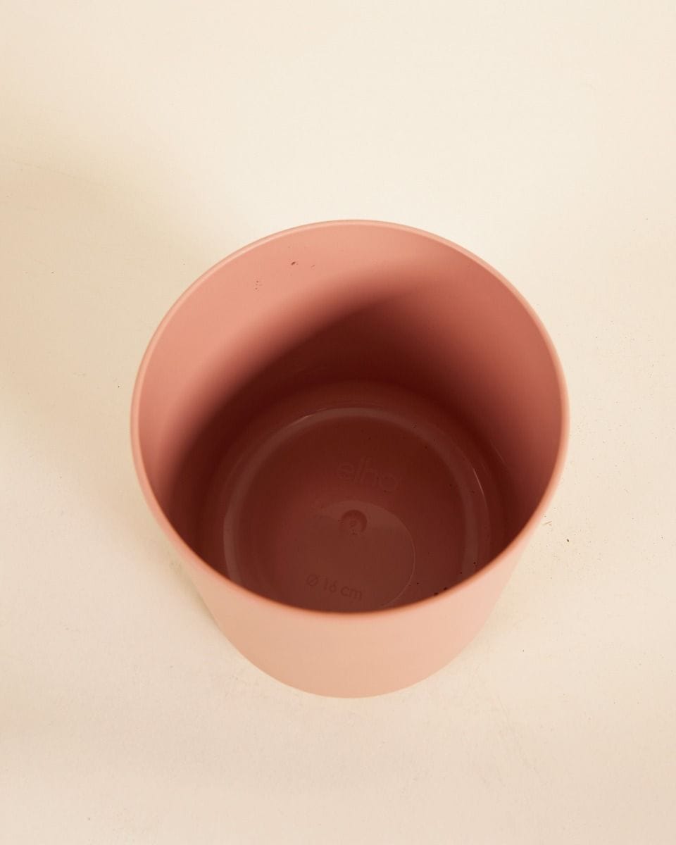Nora Pot Pink Ø 16 cm