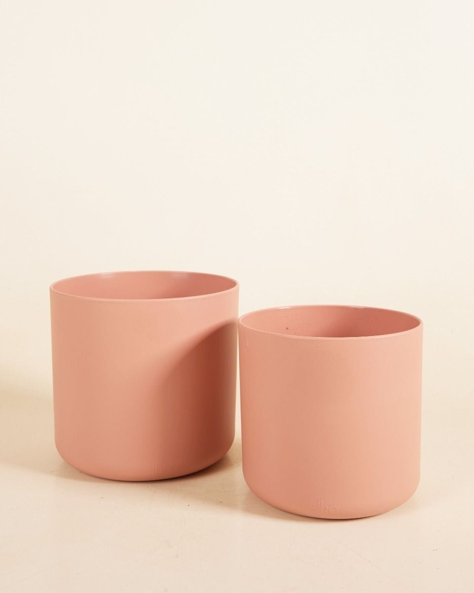 Nora Pot Pink Ø 16 cm