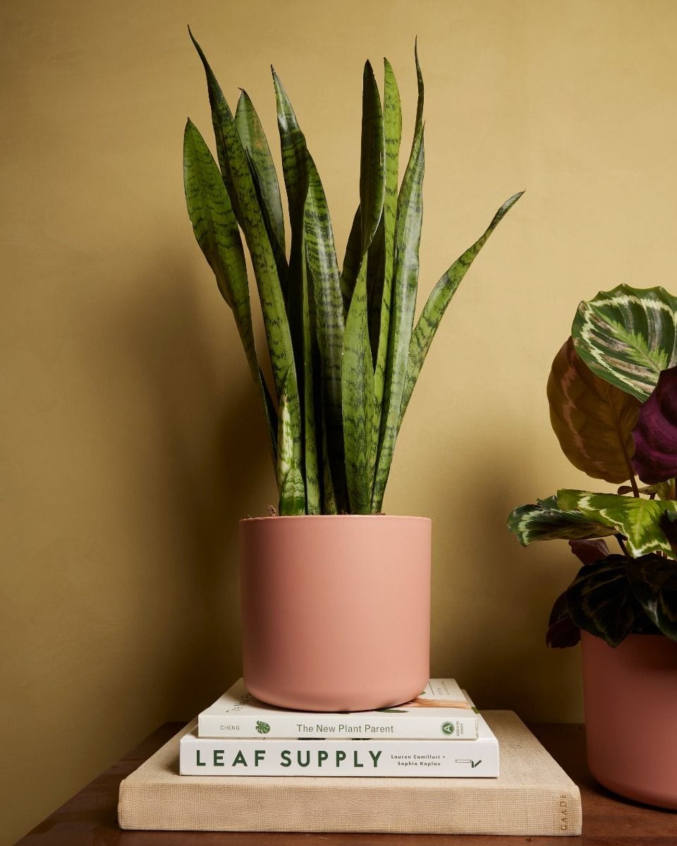 Nora Pot Pink Ø 18 cm