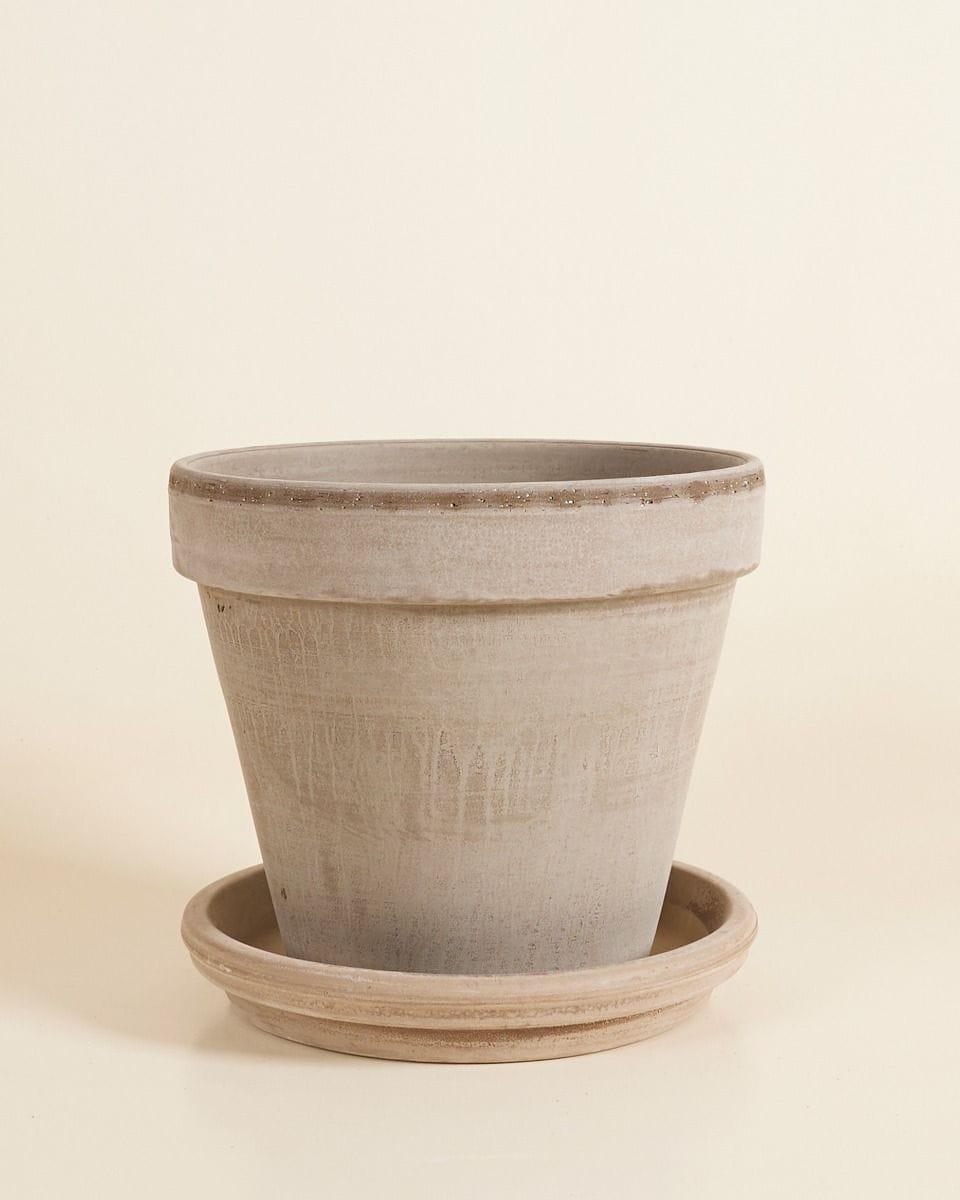 Grey Terracotta Pot Ø 22 cm