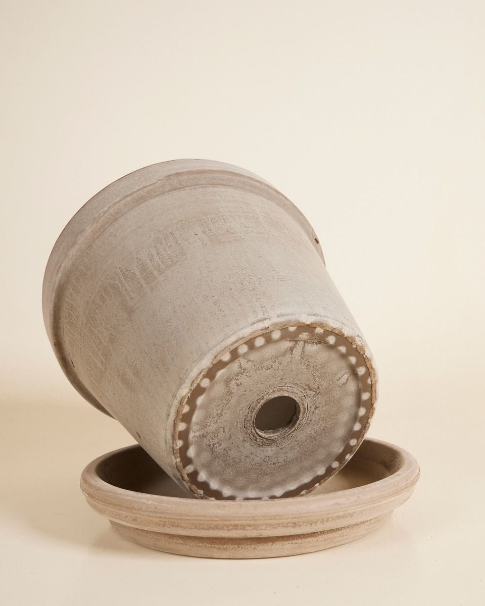 Grey Terracotta Pot Ø 22 cm