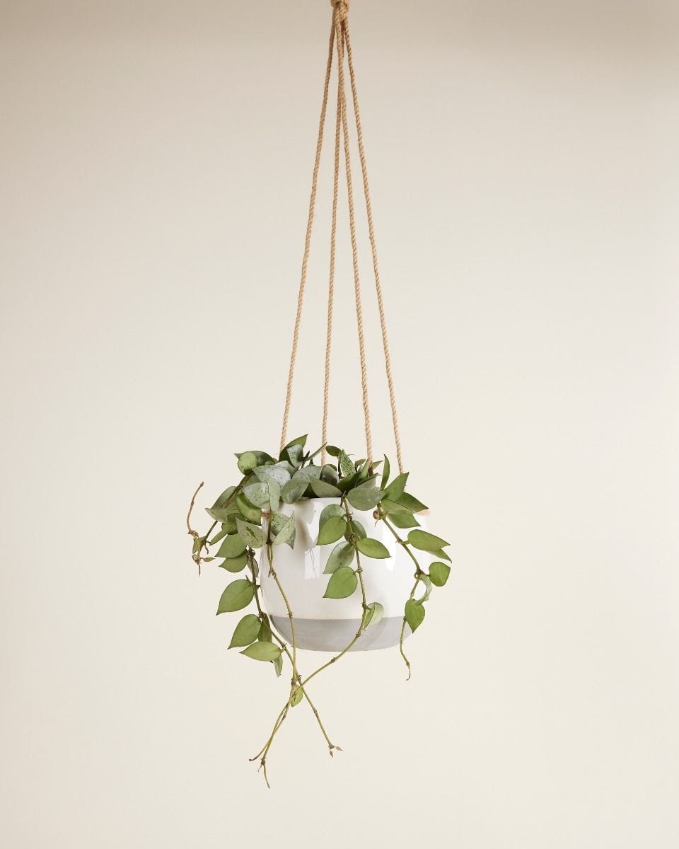 Nea Hanging Pot White Ø 13 cm