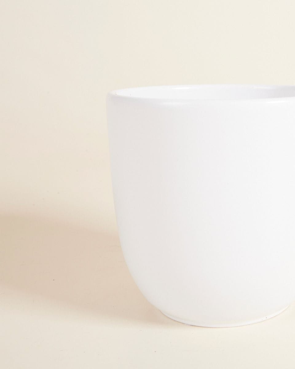 Lexi Pot White Ø 12.5 cm