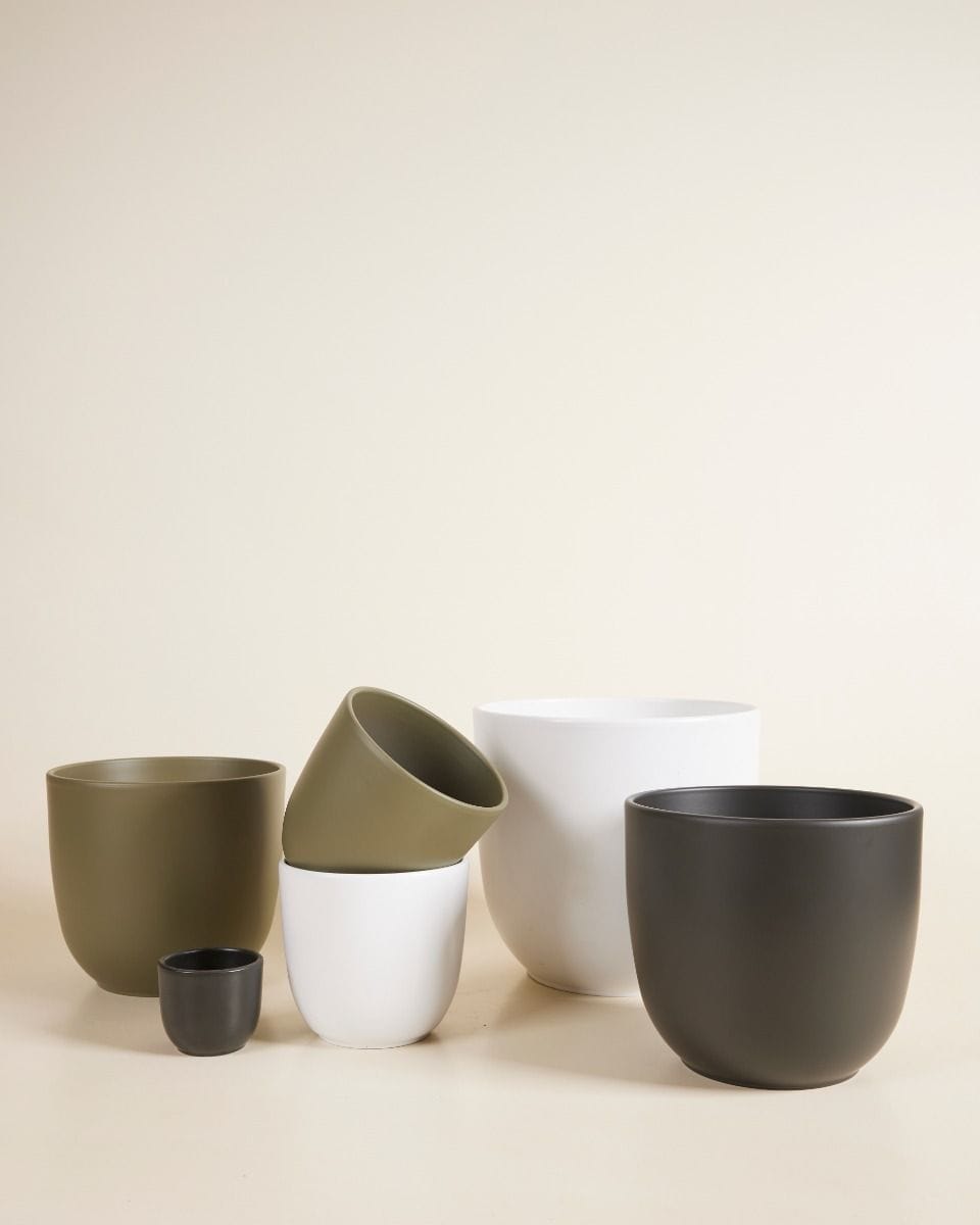 Lexi Pot White Ø 12.5 cm
