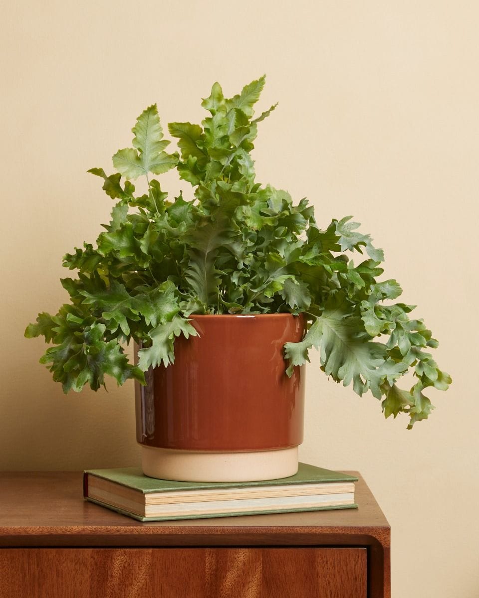 Lisa Pot Dusty Terra Ø 15 cm