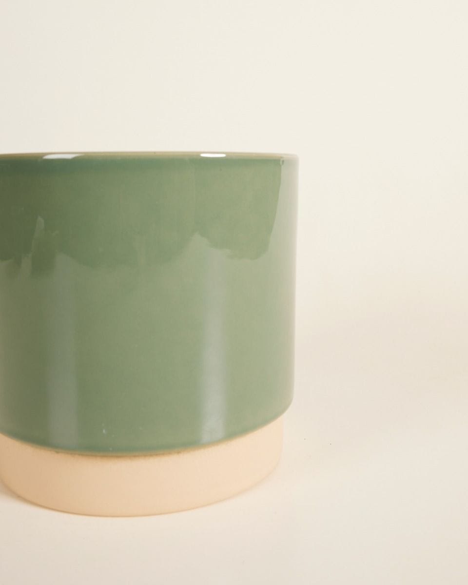 Lisa Pot Green Ø 15 cm