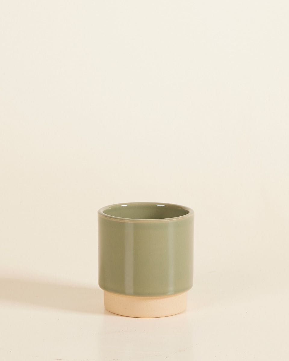 Baby Lisa Pot Green Ø 7 cm