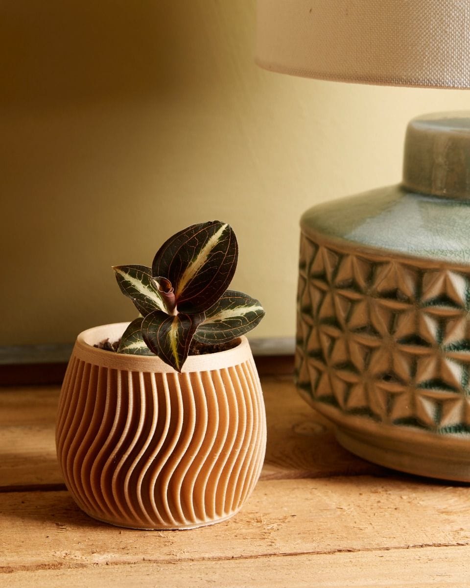 Baby Robin Wood Pot Swirl Ø 5.5 cm