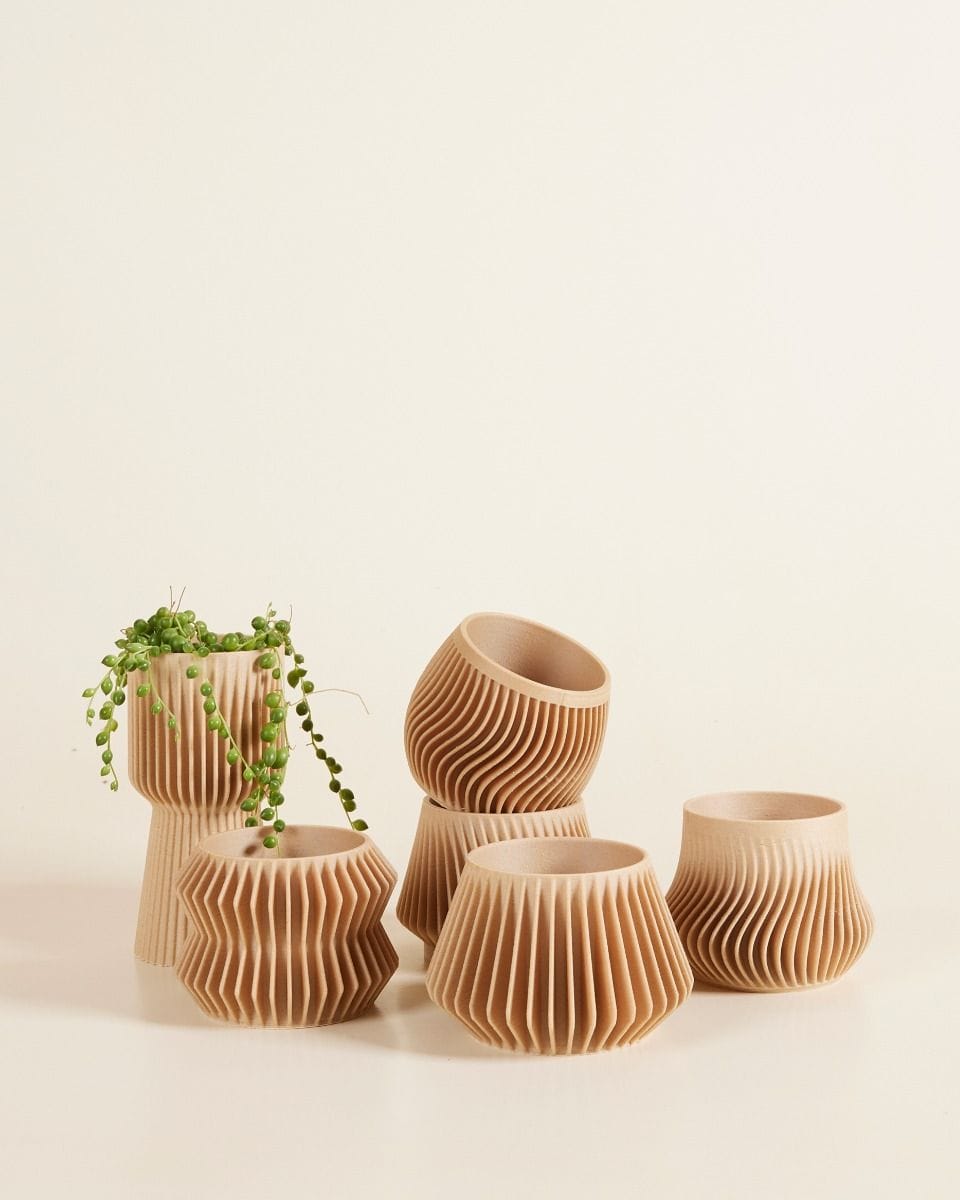 Baby Robin Wood Pot Wavy Ø 5.5 cm